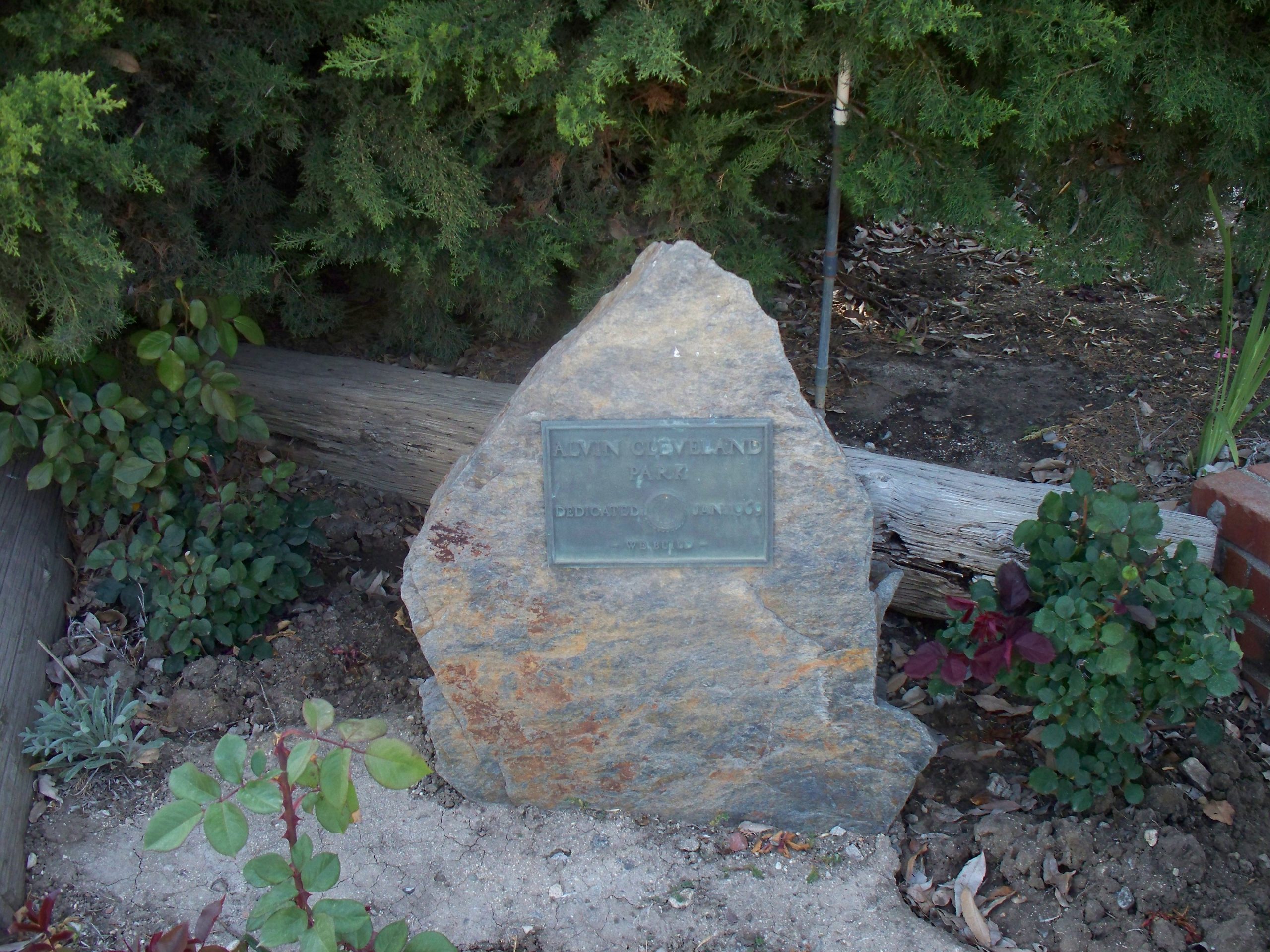 毎晩3分だけ泣いていた24歳が気づいた、夜の孤独感の「本当の正体」