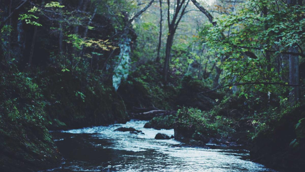 「身バレが怖い」で2年4ヶ月が過ぎた。マッチングアプリの安全対策、実は9割が誤解している【2026年女性版】