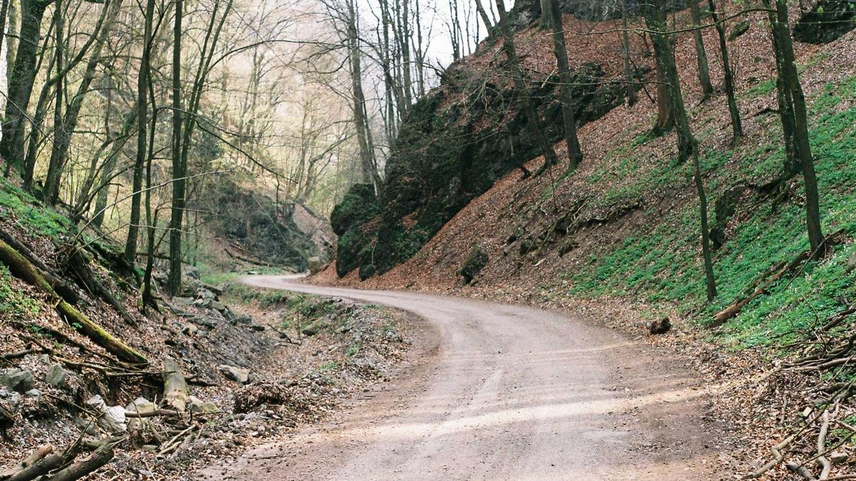 電話占いで復縁相談した口コミ2026｜8ヶ月悩んだ私が出した本当の答え